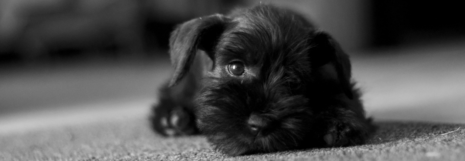 Slider 2
